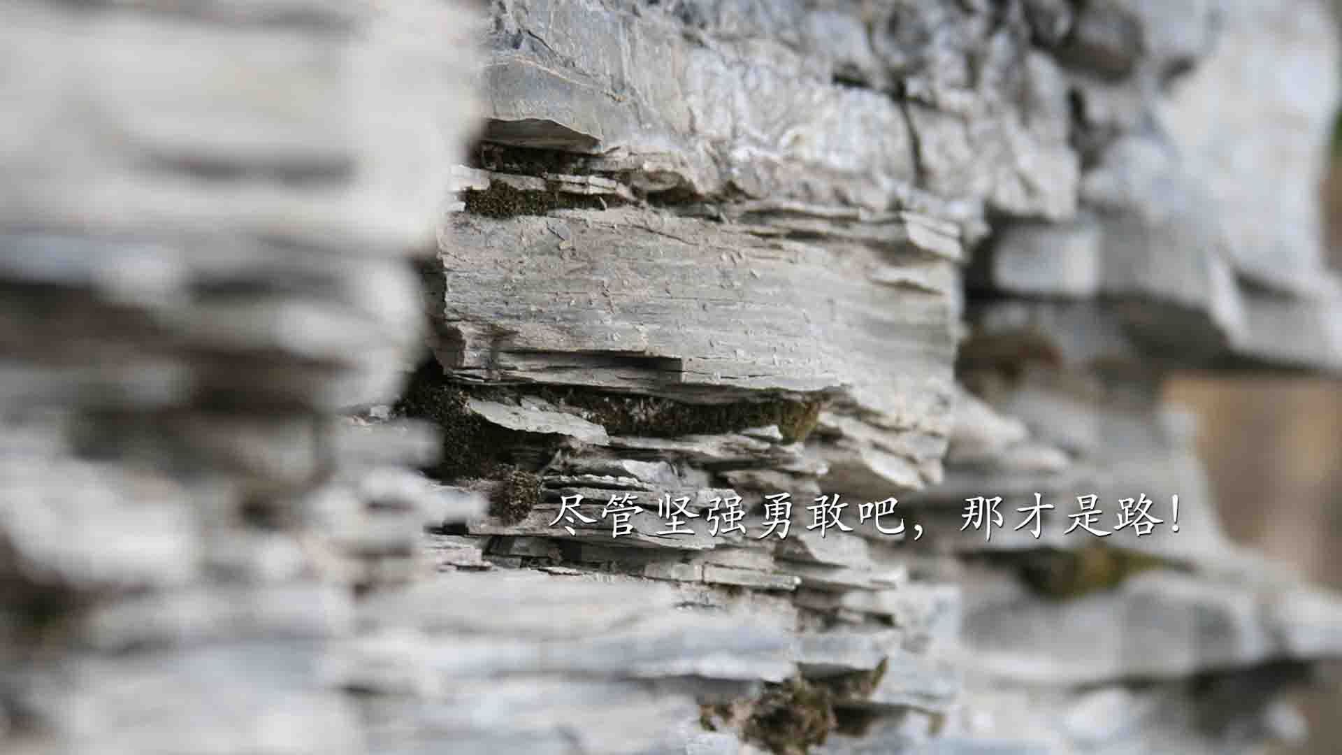 欧冠半决赛之夜,东契奇让达拉斯听见了伯纳乌的掌声