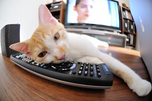 芭蕾舞者与装甲洪流，帕尔默如何用一个人的舞蹈，破解了乌克兰的战争足球